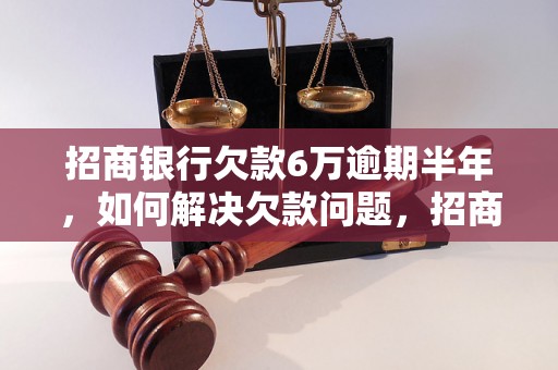 招商银行欠款6万逾期半年，如何解决欠款问题，招商银行逾期还款处理流程