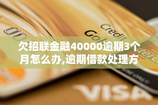 欠招联金融40000逾期3个月怎么办,逾期借款处理方法及建议