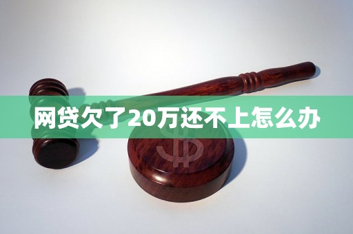 网贷欠了20万还不上怎么办