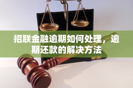 招联金融逾期如何处理，逾期还款的解决方法