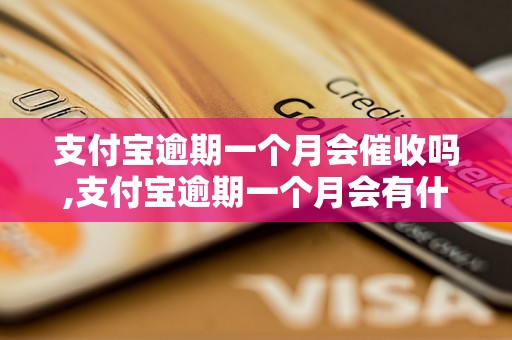 支付宝逾期一个月会催收吗,支付宝逾期一个月会有什么后果