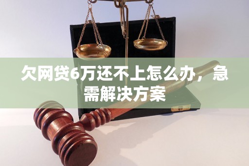 欠网贷6万还不上怎么办，急需解决方案