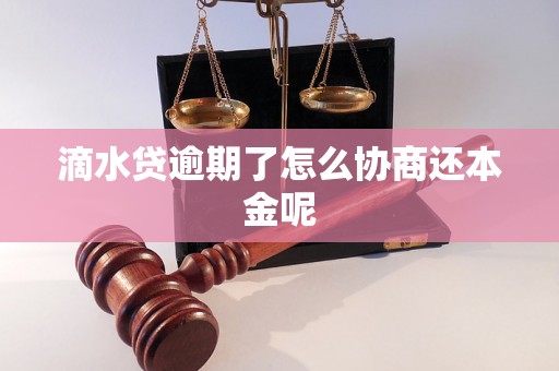 滴水贷逾期了怎么协商还本金呢