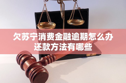 欠苏宁消费金融逾期怎么办还款方法有哪些