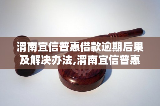 渭南宜信普惠借款逾期后果及解决办法,渭南宜信普惠借款逾期影响分析