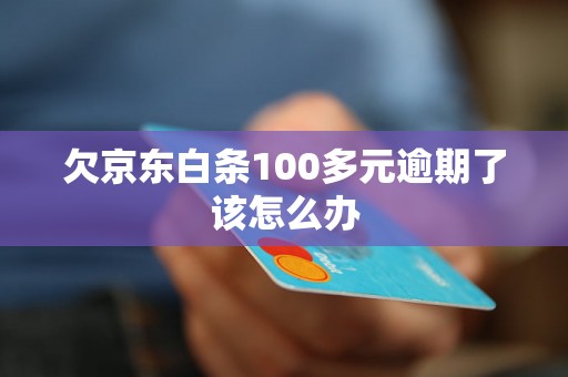 欠京东白条100多元逾期了该怎么办