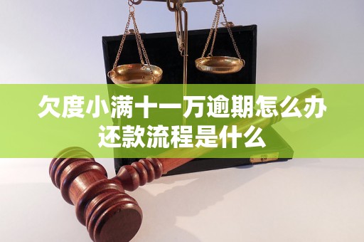 欠度小满十一万逾期怎么办还款流程是什么