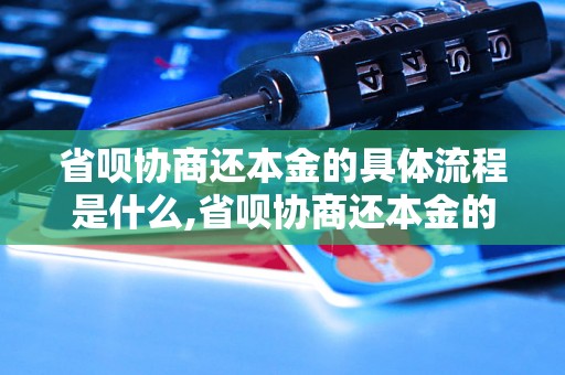 省呗协商还本金的具体流程是什么,省呗协商还本金的注意事项