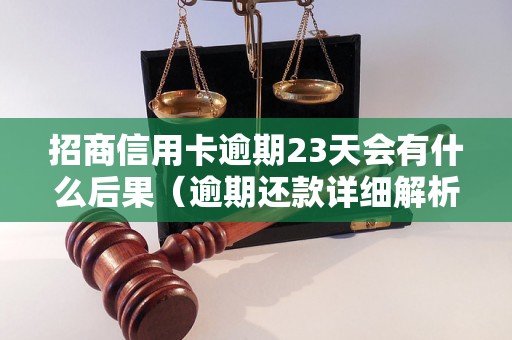 招商信用卡逾期23天会有什么后果（逾期还款详细解析）