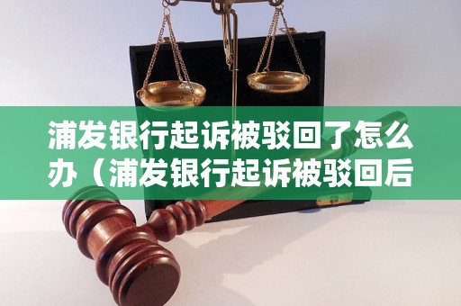 浦发银行起诉被驳回了怎么办（浦发银行起诉被驳回后的应对策略）