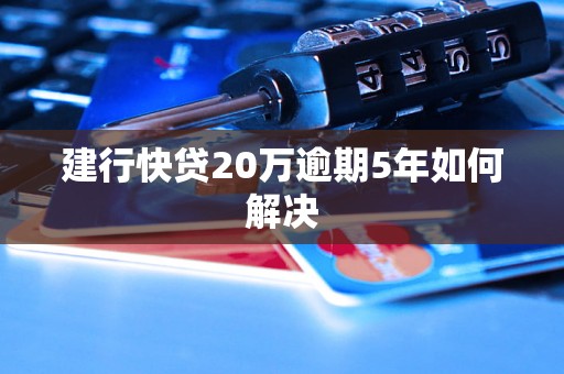 建行快贷20万逾期5年如何解决