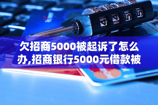 欠招商5000被起诉了怎么办,招商银行5000元借款被起诉的后果