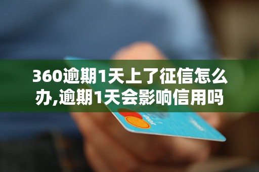 360逾期1天上了征信怎么办,逾期1天会影响信用吗