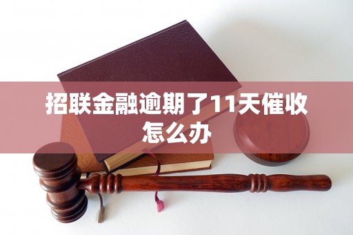 招联金融逾期了11天催收怎么办