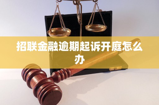 招联金融逾期起诉开庭怎么办