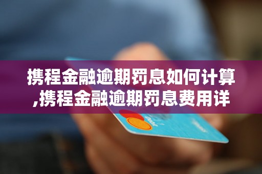 携程金融逾期罚息如何计算,携程金融逾期罚息费用详解