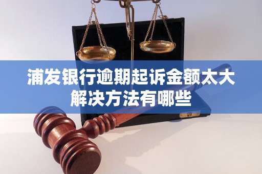 浦发银行逾期起诉金额太大解决方法有哪些