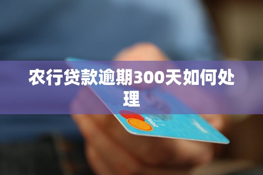 农行贷款逾期300天如何处理