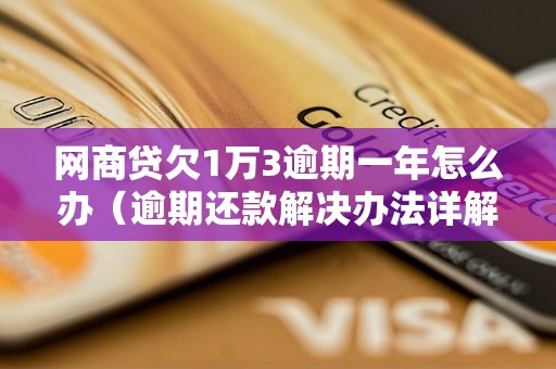 网商贷欠1万3逾期一年怎么办（逾期还款解决办法详解）