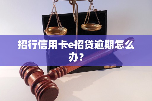 招行信用卡e招贷逾期怎么办？