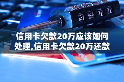 信用卡欠款20万应该如何处理,信用卡欠款20万还款方法推荐