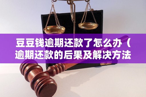 豆豆钱逾期还款了怎么办（逾期还款的后果及解决方法）