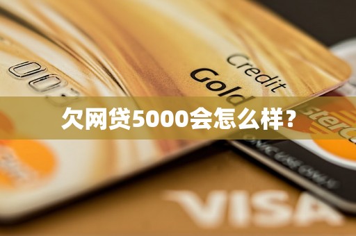 欠网贷5000会怎么样？