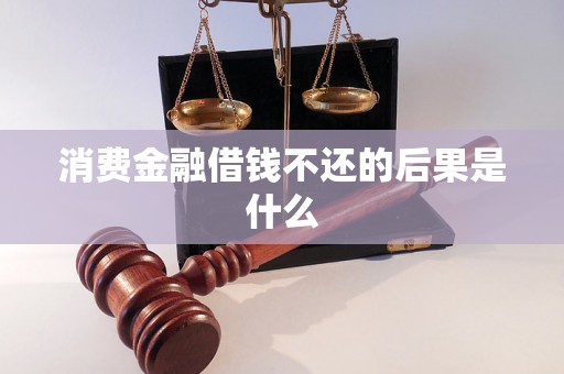 消费金融借钱不还的后果是什么