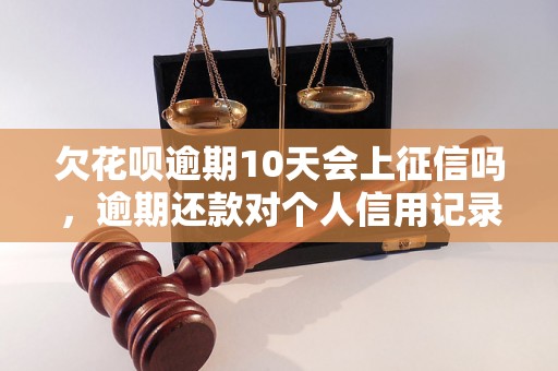 欠花呗逾期10天会上征信吗，逾期还款对个人信用记录的影响