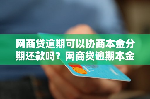 网商贷逾期可以协商本金分期还款吗？网商贷逾期本金分期还款的条件及流程