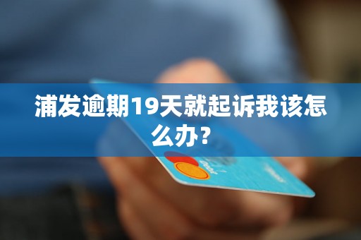 浦发逾期19天就起诉我该怎么办？