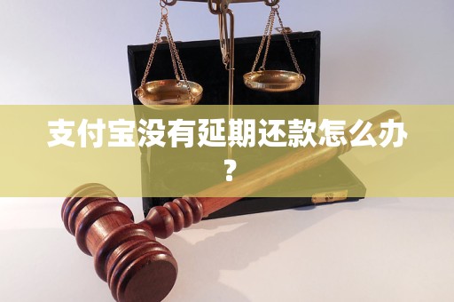 支付宝没有延期还款怎么办？