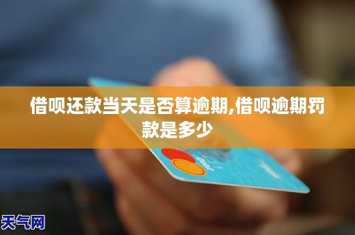 支付宝还款自动能退回来吗_支付宝自动还款影响信用吗_支付宝借呗自动还款