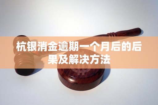 杭银消金逾期一个月后的后果及解决方法