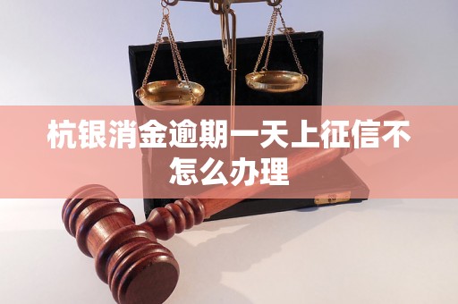 杭银消金逾期一天上征信不怎么办理