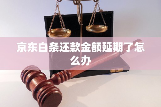 京东白条还款金额延期了怎么办