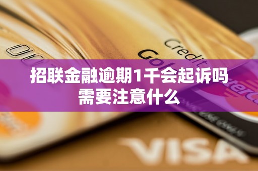 招联金融逾期1千会起诉吗需要注意什么