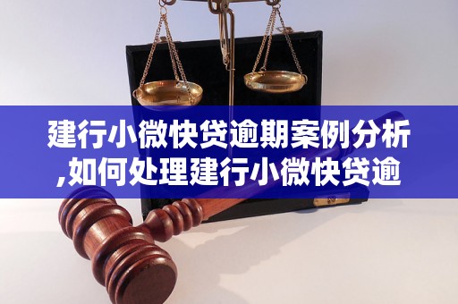 建行小微快贷逾期案例分析,如何处理建行小微快贷逾期问题