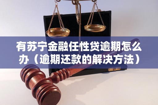 有苏宁金融任性贷逾期怎么办（逾期还款的解决方法）