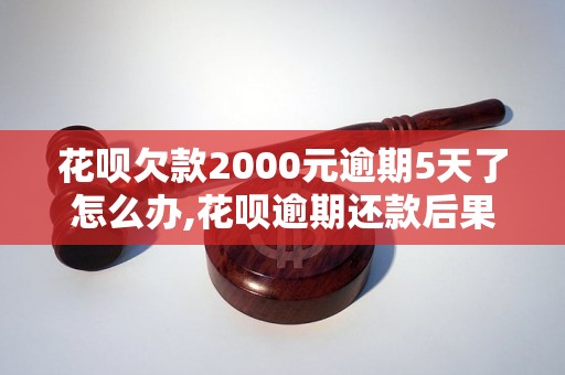 花呗欠款2000元逾期5天了怎么办,花呗逾期还款后果及处理方法