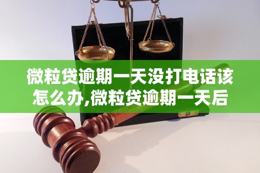 微粒贷逾期一天没打电话该怎么办,微粒贷逾期一天后会有什么后果