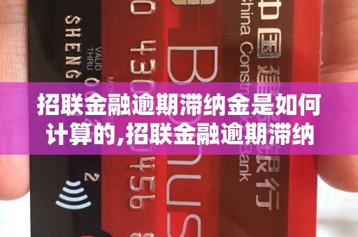 招联金融逾期滞纳金是如何计算的,招联金融逾期滞纳金收取标准解析