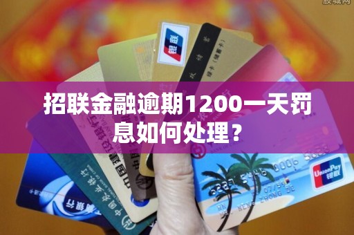 招联金融逾期1200一天罚息如何处理？