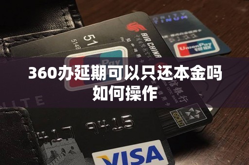 360办延期可以只还本金吗如何操作