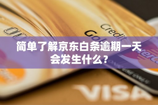 简单了解京东白条逾期一天会发生什么？