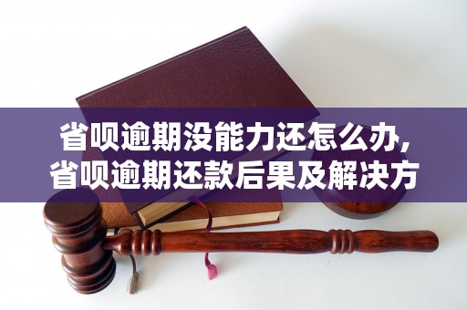 省呗逾期没能力还怎么办,省呗逾期还款后果及解决方法