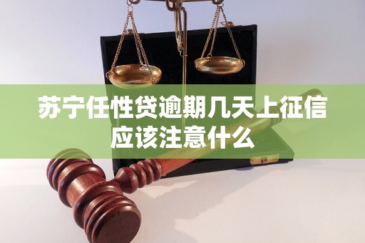 苏宁任性贷逾期几天上征信应该注意什么