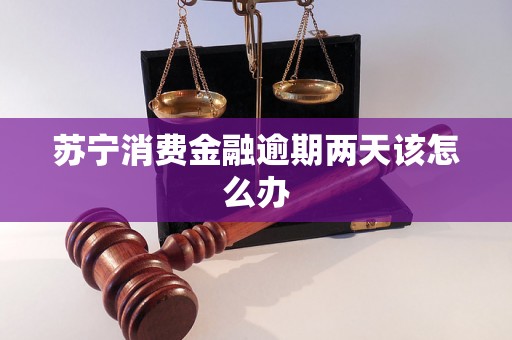 苏宁消费金融逾期两天该怎么办