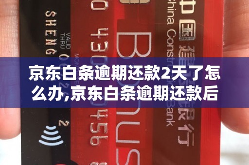 京东白条逾期还款2天了怎么办,京东白条逾期还款后果及处理方法