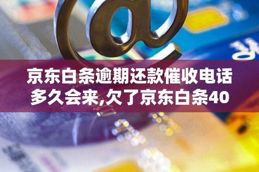 京东白条逾期还款催收电话多久会来,欠了京东白条400多天怎么办